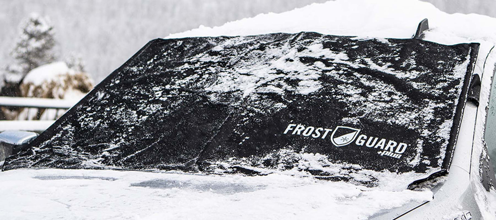 The Ultimate Christmas Gift Guide