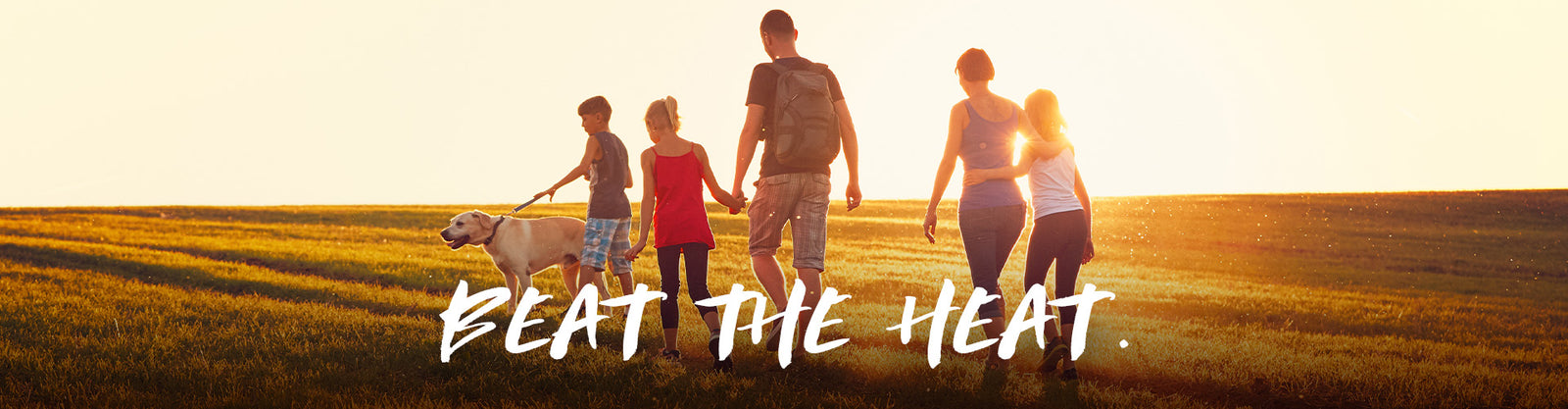 SolarGuard Summer Windshield Covers by Urban Transit