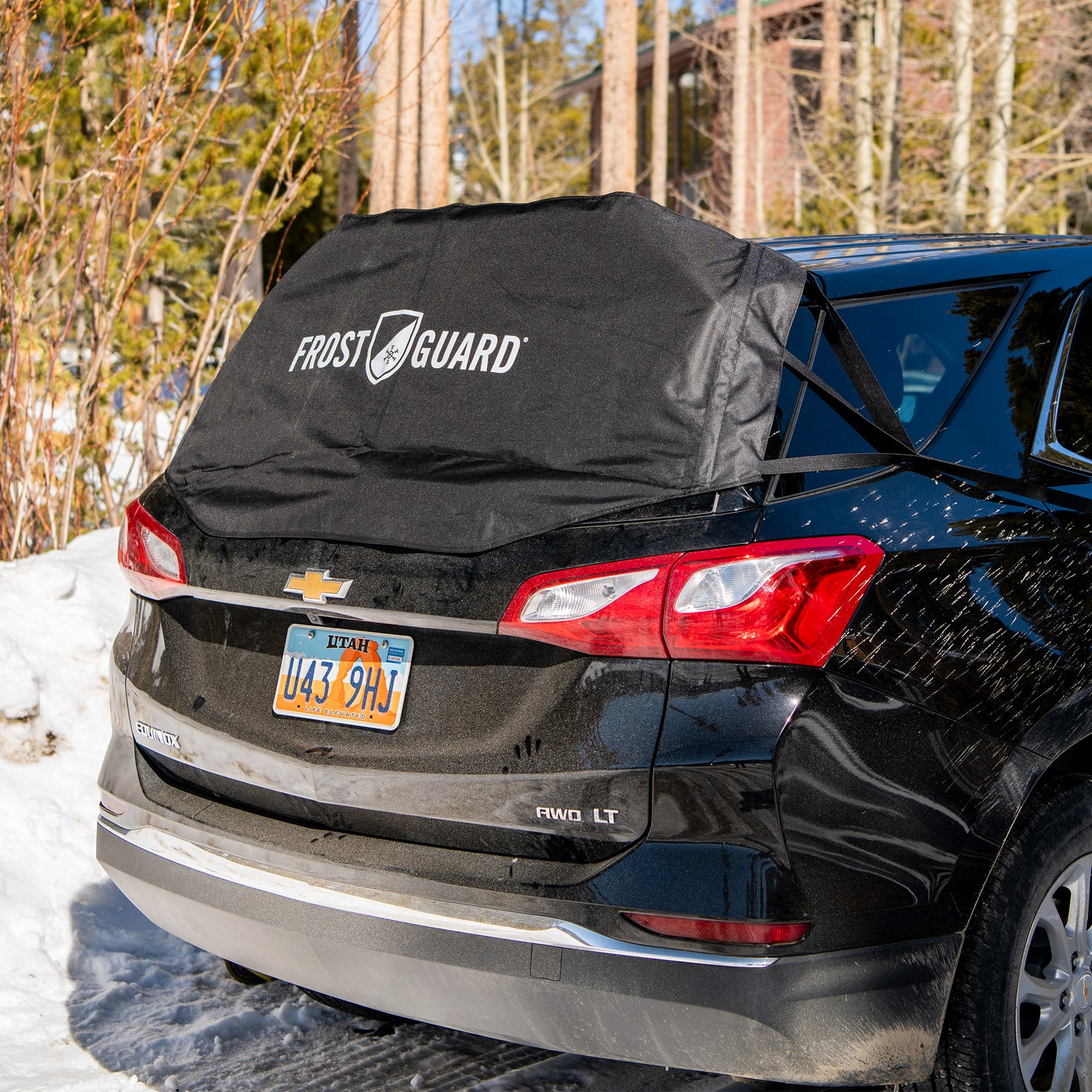 winter rear windshield cover | rear frost windshield cover | rear ice windshield cover | frost guard sedan