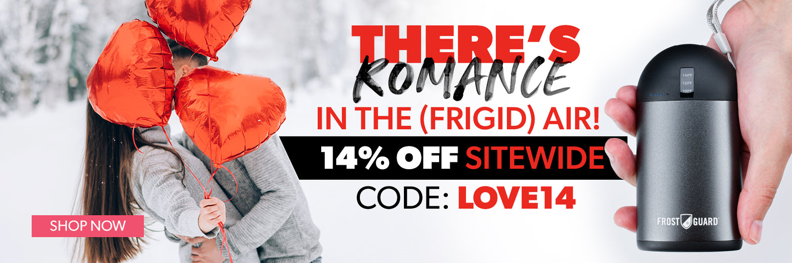 FrostGuard Rechargeable Hand Warmer and Power Bank