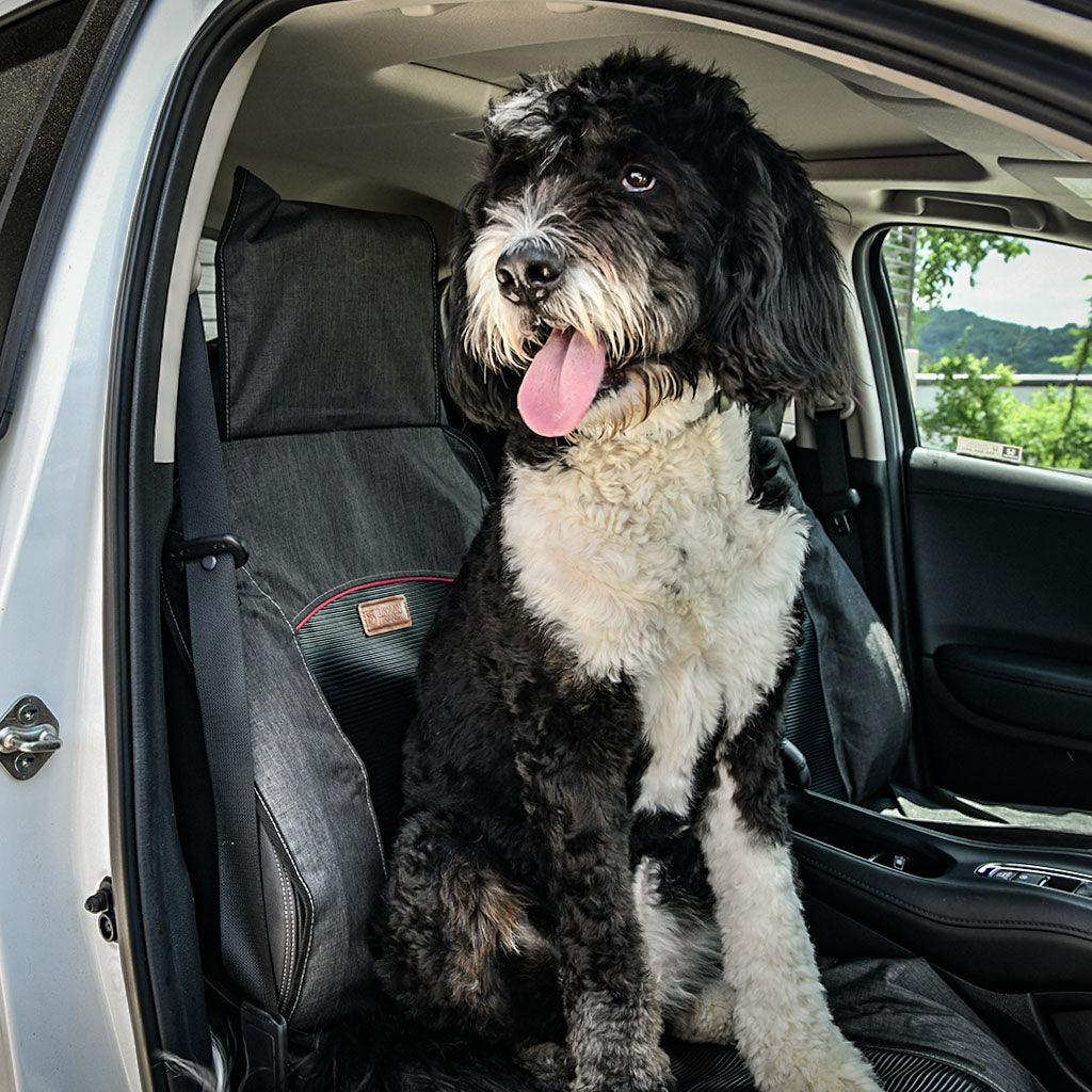 https://urbantransit.com/cdn/shop/files/Pet_Car_Seat_Cover_4_1600x.jpg?v=1652483844