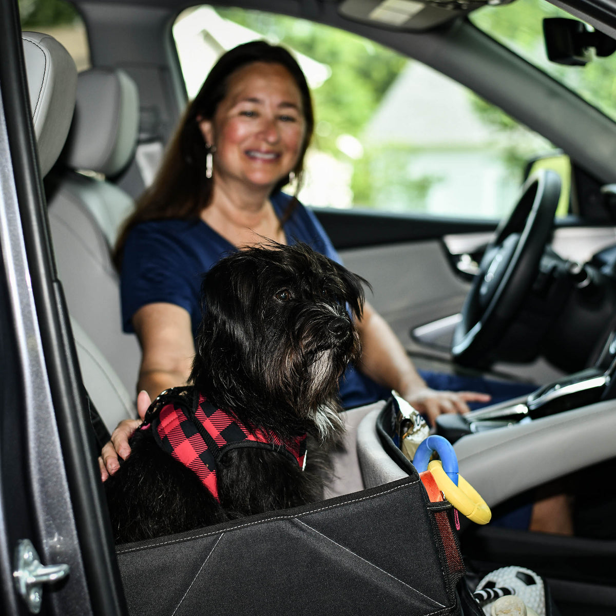 Pet Booster Seat